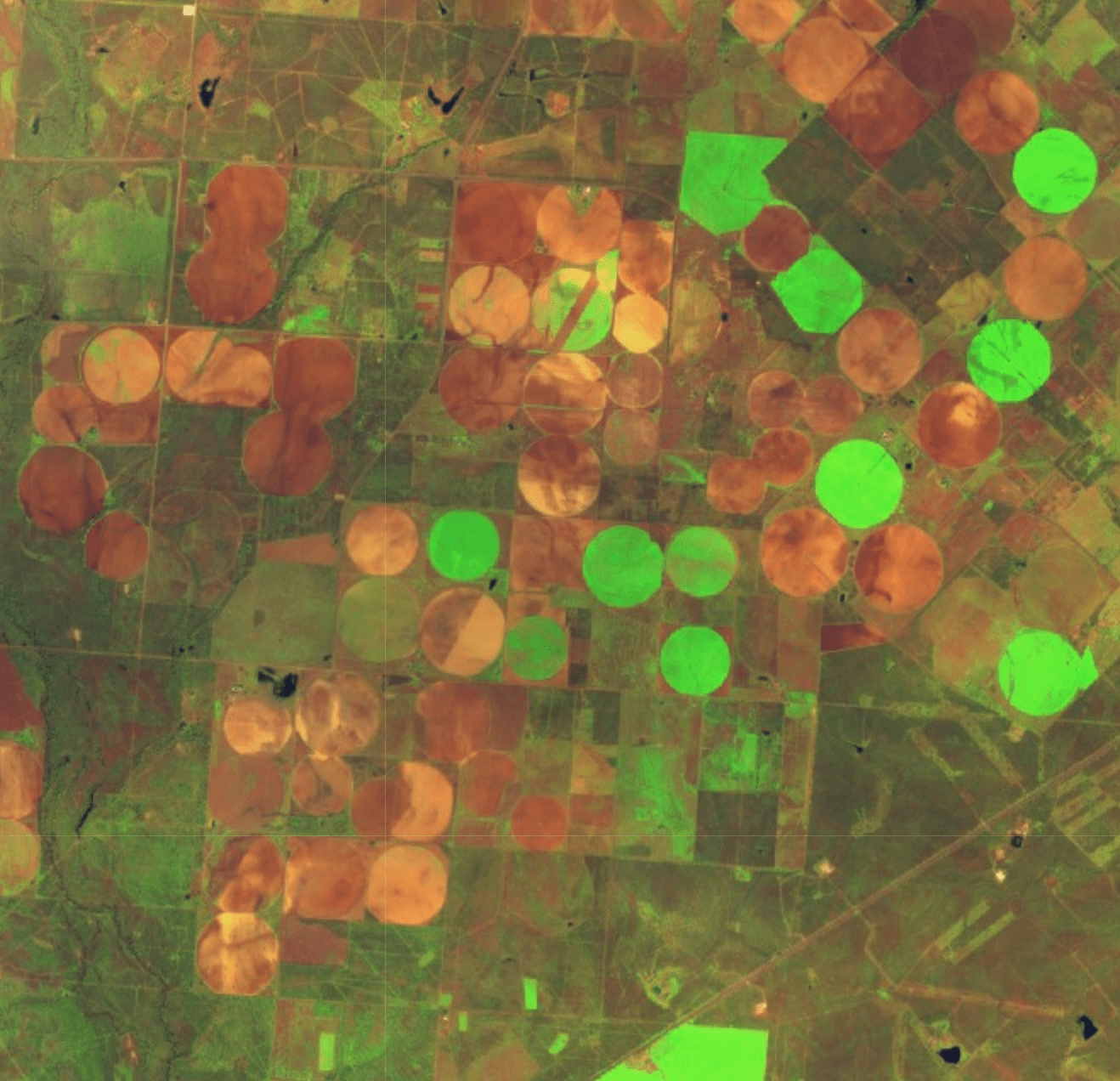 Agrohelper Application Satellite Image Agriculture view