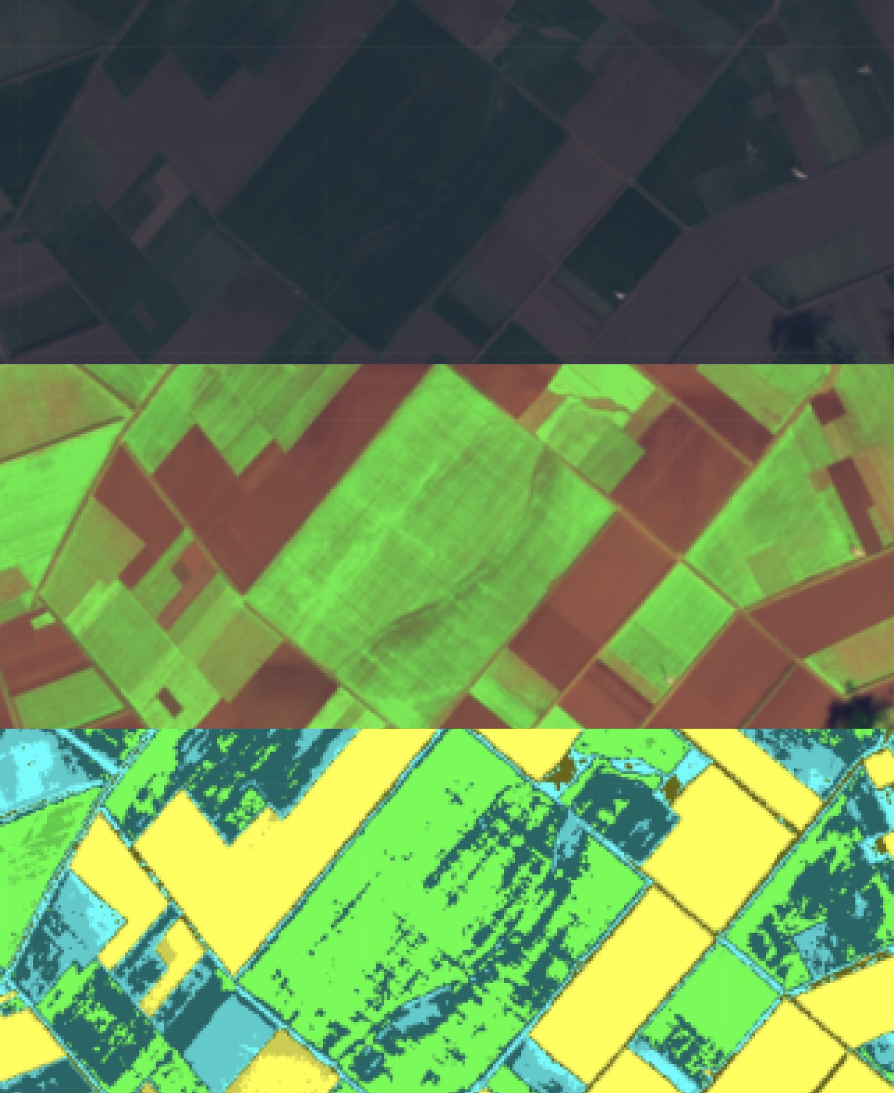 Agrohelper Application Satellite Image Agriculture