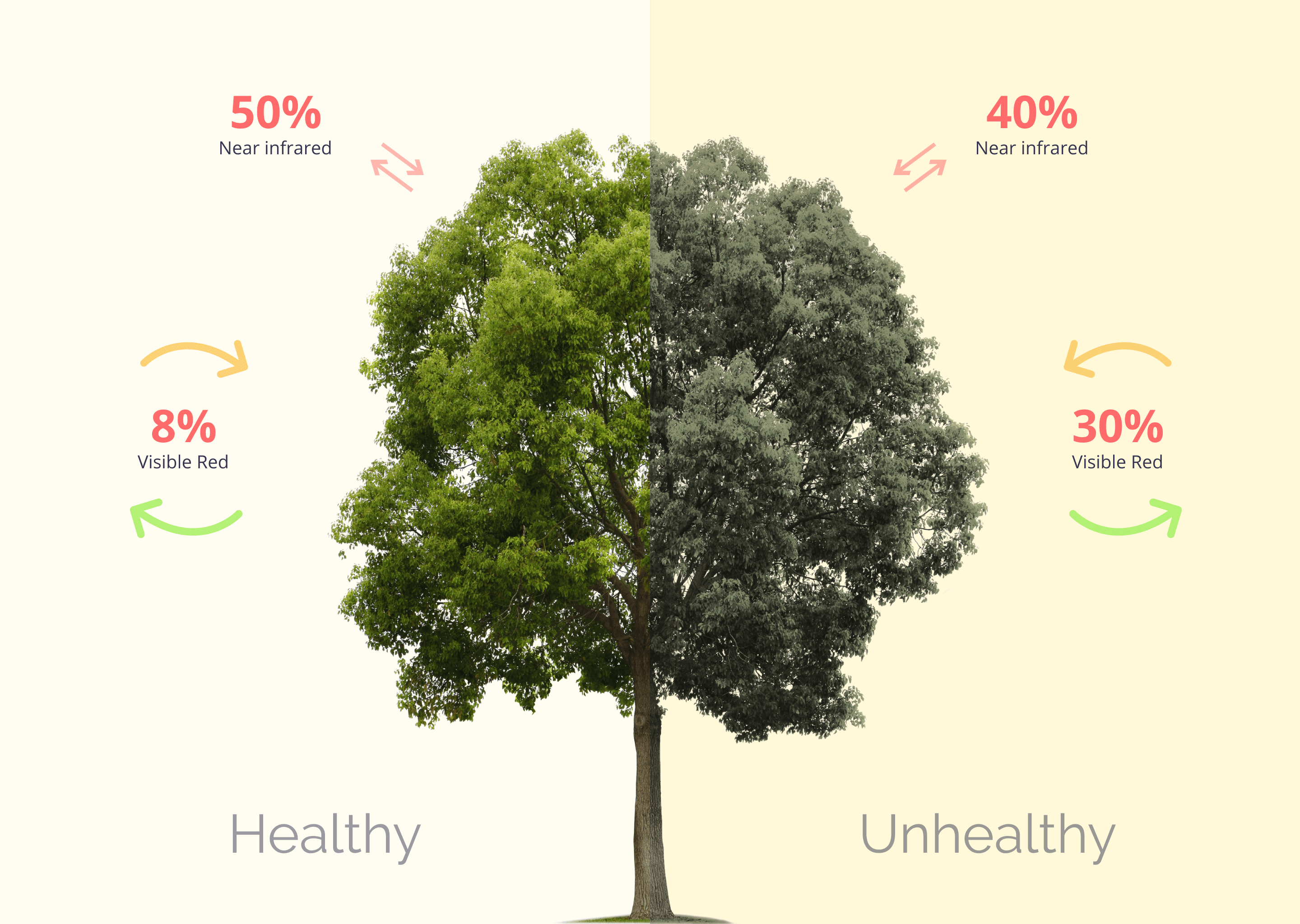 Agrohelper Application Satellite Photosynthesis